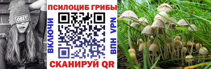 Псилоцибиновые грибы Magic Shrooms  где продают наркотики  мега как зайти  Хасавюрт 